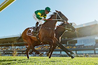 Ole Kirk won both the Golden Rose and Caulfield Guineas as a spring three-year-old.