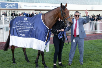 Scales Of Justice after his Memsie Stakes win.