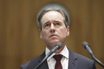 Federal Health Minister Greg Hunt has claimed the closure of the NSW-Victoria border is an example of a local lockdown as was "always planned" in the event of an outbreak.