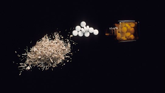 The analgesic action of aspirin (right) is derived from salicin, found in willow bark (left), which has been used traditionally for thousands of years.