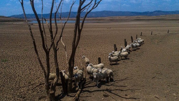 Drought and catastrophic fires were signs that Australia needed to do more to deal with climate change, according to the OECD.