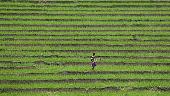 A man works with hoe at a terrace farm in the largely poor Shan state, Myanmar.