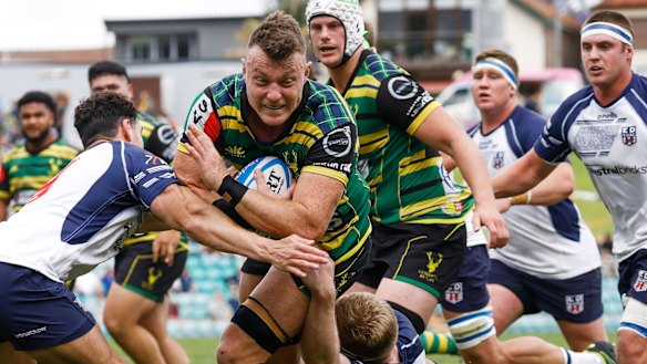 Jack Dempsey in action for Gordon during last year’s Shute Shield final.