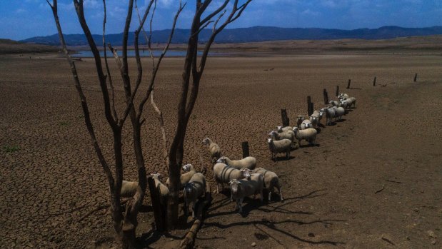 Drought and catastrophic fires were signs that Australia needed to do more to deal with climate change, according to the OECD.