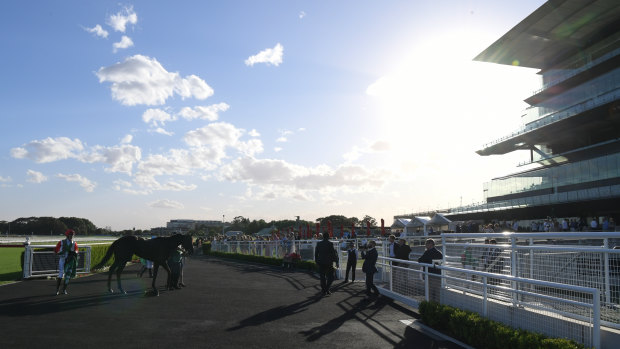 Silly season: Randwick races for the last time before Christmas with a seven-event card on the Kensington track.