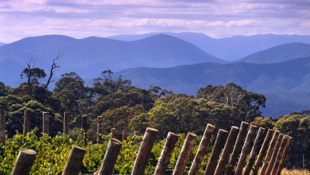 Brown Family Wine Group's Whitlands Vineyard in Victoria's Great Dividing Range.