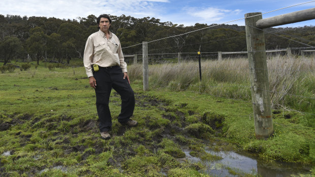 HeliSurveys chief pilot Colin de Pagter stands over a damaged section of grassland.