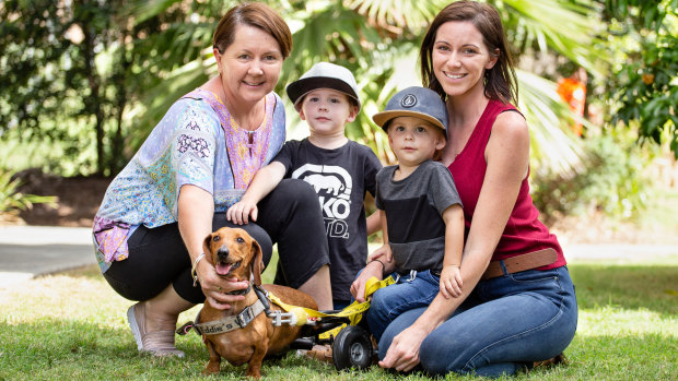 Dachshund Frankie with his family after the RSPCA put out the call to find the original owners of Storybook Farm animals.