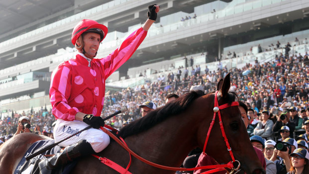 Happier times: Nash Rawiller celebrates victory in the group 1 Hong Kong Sprint aboard Mr Stunning in December.