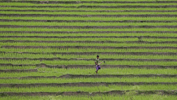 A man works with hoe at a terrace farm in the largely poor Shan state, Myanmar.