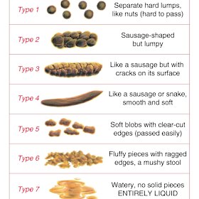 The Bristol Stool Chart is used in hospitals and aged care facilities across the world to monitor and prevent constipation. 