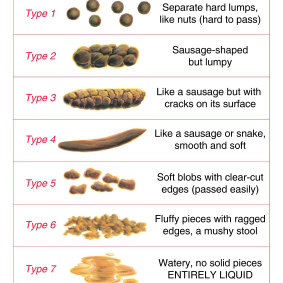 The Bristol Stool Chart is used in hospitals and aged care facilities across the world to monitor and prevent constipation. 