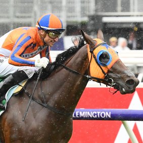 Melody Belle wins the Empire Rose Stakes at Flemington in the spring.  