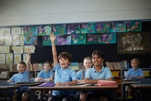 Every child deserves the opportunity to reach their full potential.