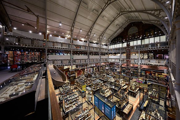 The more eccentric Pitt Rivers Museum.