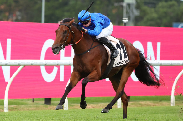 Tom Marquand punches Zardozi out to the line in the Phar Lap Stakes at Rosehill.