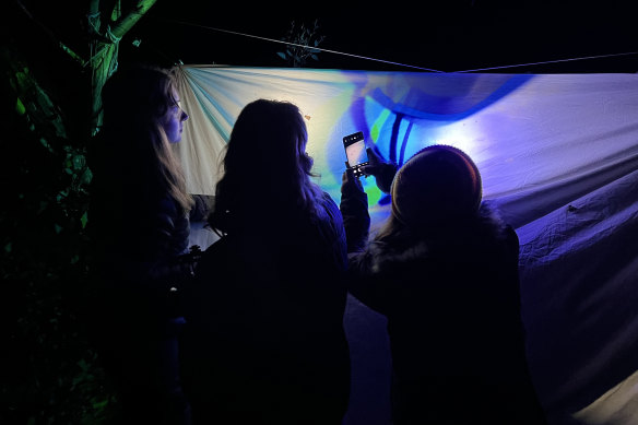 Researchers taking photos of Bogong moths against a survey sheet with ultraviolet light.