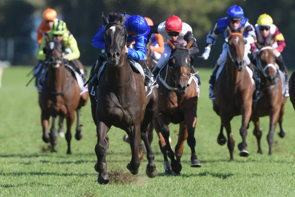 Avilius wins last year's Tancred Stakes.