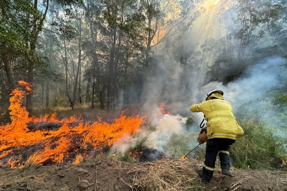 Backburning along the border of the Bean Creek fire.