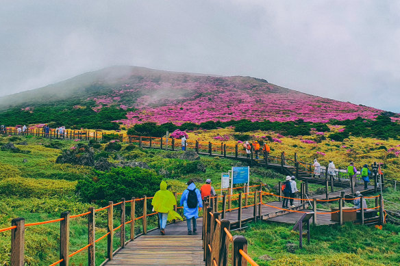 Holiday isle … Jeju Island.