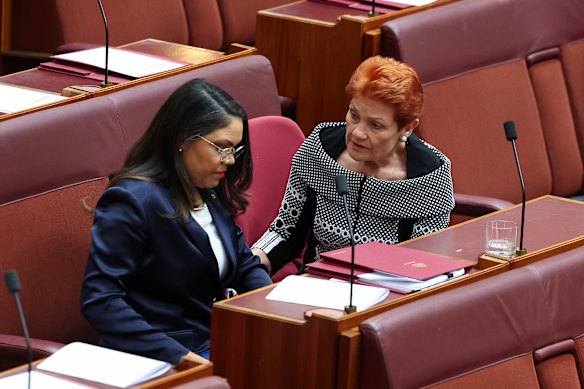 Jacinta Nampijinpa Price has accused Pauline Hanson of “wilful ignorance” about  Indigenous Australians.