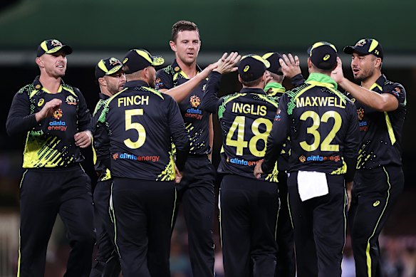 Josh Hazlewood celebrates with his team after taking the wicket of Avishka Fernando.