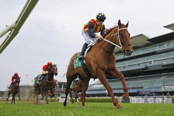 Nature Strip has earned well over $16 million in prizemoney.