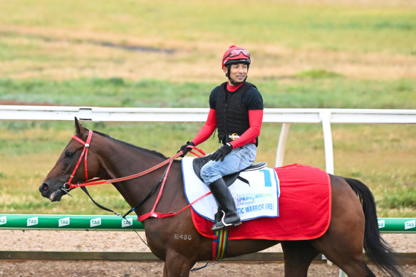 Romantic Warrior is back eating his favourite food after turning down some replica muesli mixes.