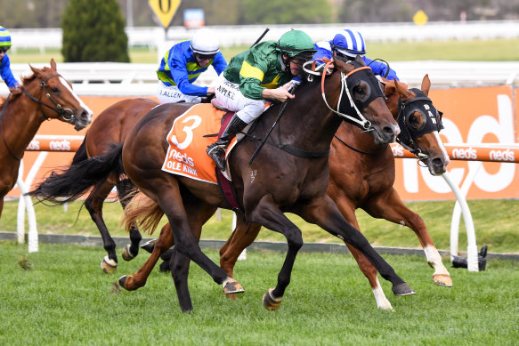 Ole Kirk struggled in the inside part of the Caulfield track, according to trainer Wayne Hawkes.