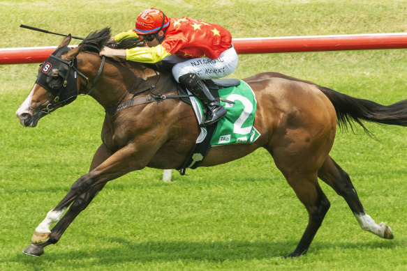 Aim makes a one-act affair of the opener at Randwick on Saturday.