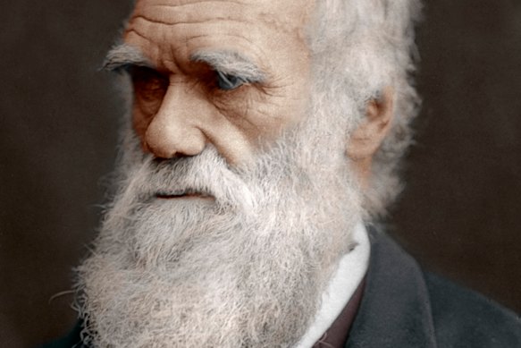 Watson described Charles Darwin as “the most important person who ever lived on Earth”.