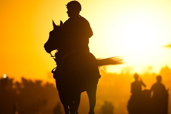 Racing returns to Goulburn on Monday.