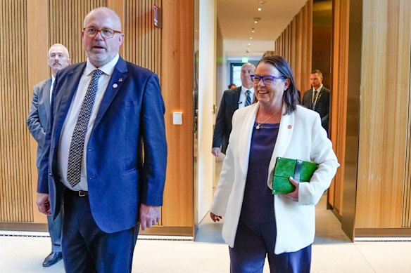 Resources Minister Madeleine King and Industry and Science Minister Tim Ayres are helping develop the long-awaited gas plan.