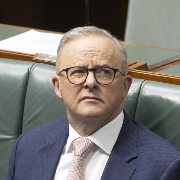 To blame or not to blame? Anthony Albanese