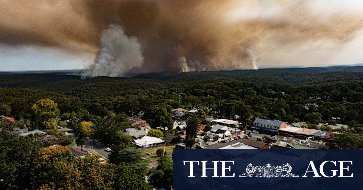 Planned burns: could they be making our forests more flammable in the age of climate change - Vimarsana News