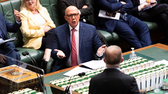 Peter Dutton in parliament.