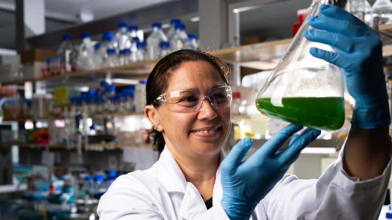 The unlikely ingredient that could help take lab-grown meat mainstream