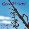 The November 9 Edition