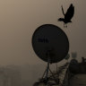 Pollution board orders emergency preparations as Delhi’s smog worsens