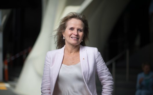 Coronavirus Victoria: Doherty Institute chief says COVID-19 pandemic ...