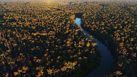 The Murray River winds through the Murray Valley National  Park.
