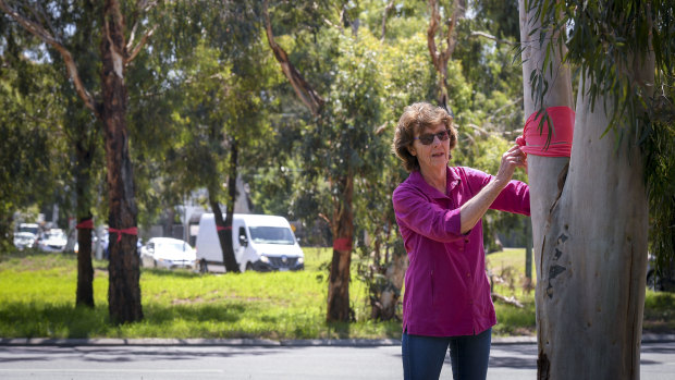 Carlota Quinlan and the Eltham Community Action Group tied red ribbons to trees on the roundabout that would be removed.