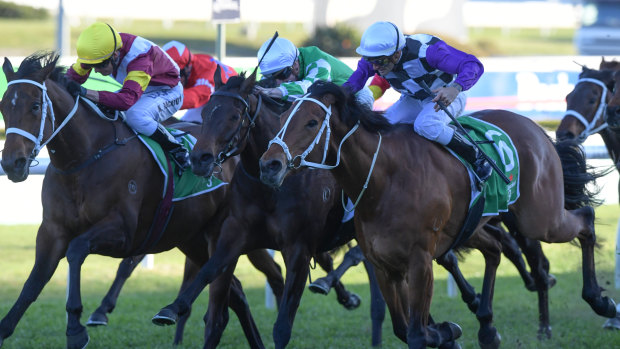 There are nine races at Royal Randwick on Tuesday.