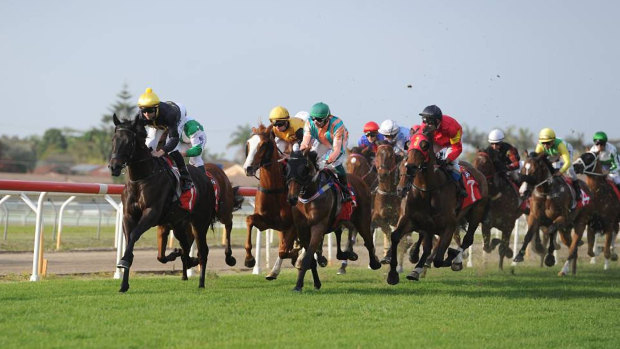 Competitive: there are a number of open races on the Port Macquarie card.