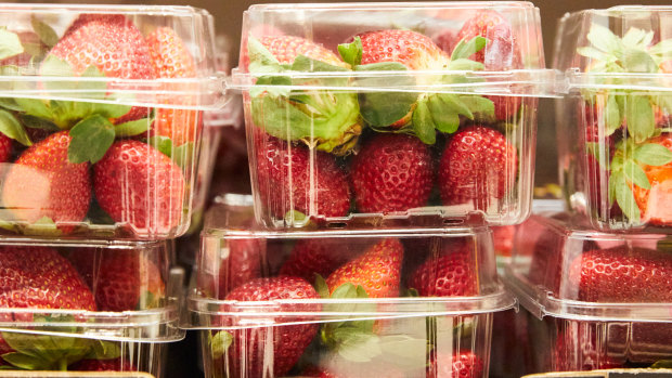 The Queensland strawberry industry is forecast to be worth $148 million in 2018-19.