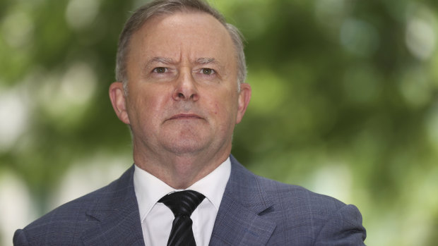 Anthony Albanese says he is "all about jobs" following the COVID-induced recession.