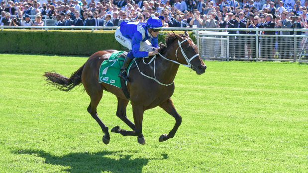 In a world of her own: Winx roars away with last year's Chipping Norton Stakes.