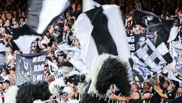The Collingwood cheer squad at home in the Ponsford Stand.