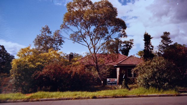 The Eastwood property with its overgrown yard. 