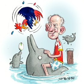 Going swimmingly ... Wayne Bennett and his Dolphins.